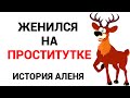 БАБОРАБ ВЕКА! Женился на проститутке РСП! Императорский Алень. Куколд. Аленизм. Психология отношений