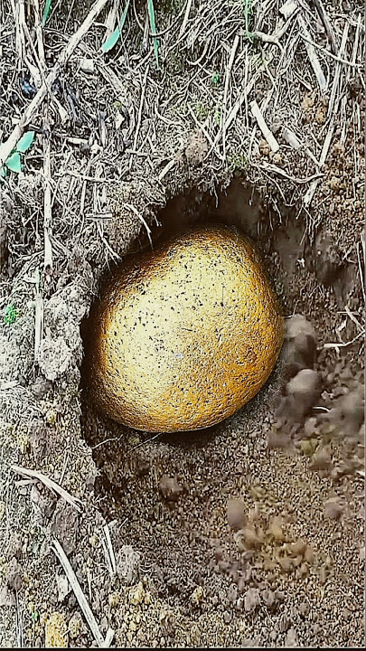 Terungkap,,penemuan harta Karun emas,di temukan di bawah tanah #gold #goldhunter #goldhunters