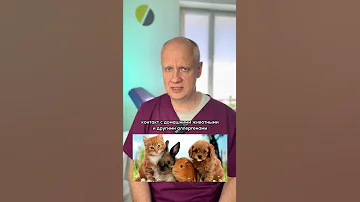 Как отличить аллергию от простуды❓🤧
