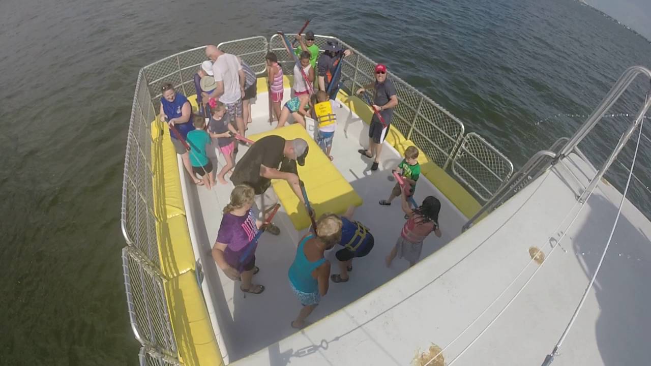 orange beach dolphin cruise