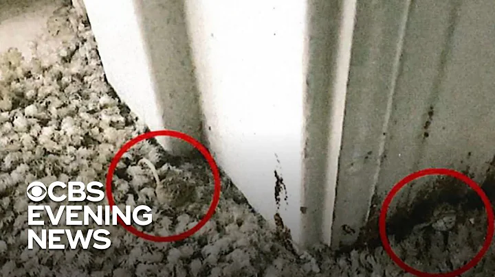 5 military families file lawsuit over housing conditions