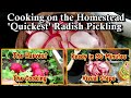 Cooking on the Homestead: 20-30 Minute Pickled Radishes &amp; Sautéing Radish Greens Made Simple