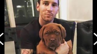 The dog of Lionnel Messi