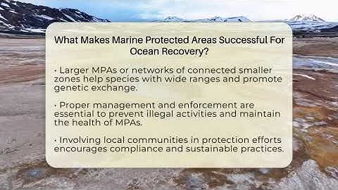 What Makes Marine Protected Areas Successful For Ocean Recovery? - Earth Science Answers