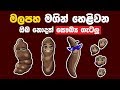 මලපහ මගින් හෙළිවන ඔබ නොදත් සෞඛ්‍ය ගැටලු - What's Your Poop Says