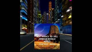 Markus Schulz feat. Christina Novelli - Not Afraid To Fall - The WLT Remix
