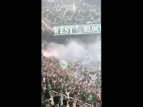 ΘΥΡΑ 13 OAKA