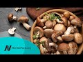 Is It Safe to Eat Raw Mushrooms?
