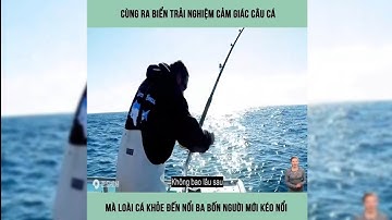 ra biển trải nghiệm cảm giác câu cá, mà gặp phải loài cá khỏe đến nỗi ba bốn người mới kéo nổi
