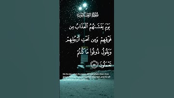 سورة العنكبوت يوم يغشاهم العذاب من فوقهم ومن تحت أرجلهم ويقول ذقوا ماكنتم تعملون الاية ٥٥