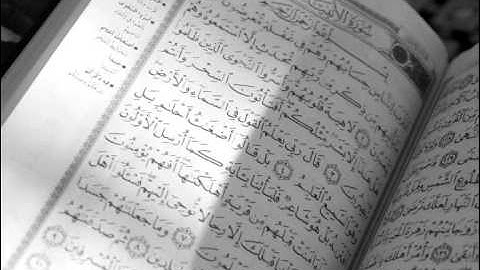 الشيخ صلاح البدير ماتيسر من سورة الأنبياء .