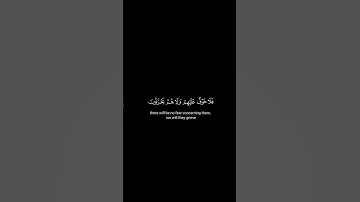 كروما شاشة سوداء قرآن كريم 🍀 محمد ايوب 🍀 سورة الأحقاف  #تلاوة_هادئة #اكسبلور #اكسبلورهاشتاقات