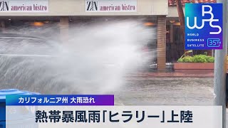 熱帯暴風雨「ヒラリー」カリフォルニア州上陸 大雨で冠水も【WBS】（2023年8月21日）