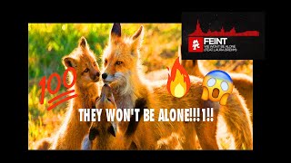 Feint - We Won't Be Alone Ft. Laura Brehm, But The Lyrics Are Google Images