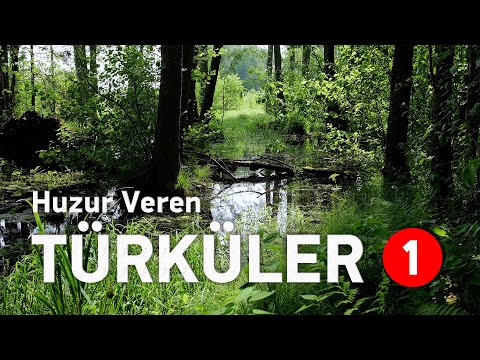 HUZUR VEREN TÜRKÜLER \