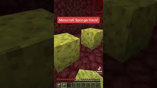 Minecraft Sponge Hack