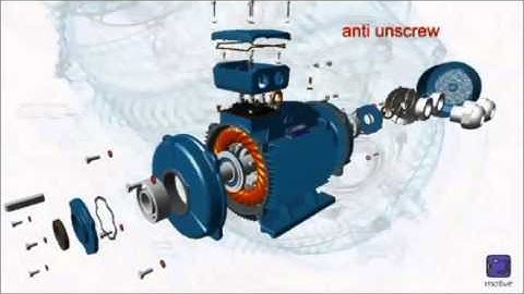 AXIS & Stuifmeel Motive DELPHI IE2 en IE3 driefasige asynchrone motoren, IEC bouwgrootte 160-355