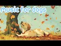 DOG MUSIC: Unique Sound Technology to RELAX YOUR DOG 🐶