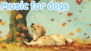 DOG MUSIC: Unique Sound Technology to RELAX YOUR DOG