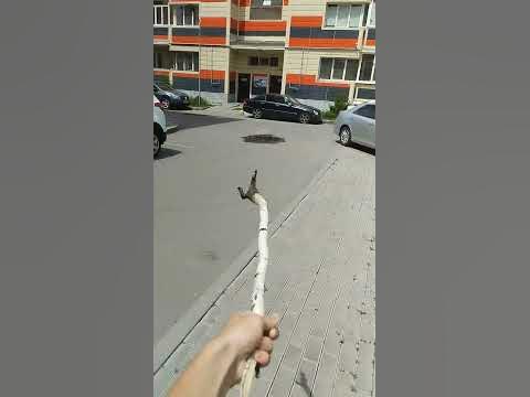 палка - YouTube