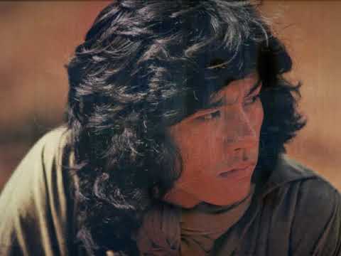 酒と泪と男と女　～ 西 城 秀 樹 ～　Hideki Saijo