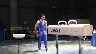 Danell Leyva - Pommel Horse - 2012 Winter Cup Prelims