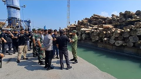 Ribuan Batang Kayu Ilegal Asal Sumatera Barat Di Sita Di Pelabuhan Gresik.