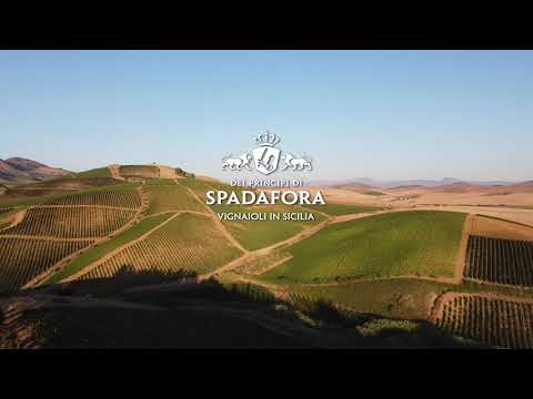 Dei Principi Di Spadafora, degustazioni tra i vigneti - YouTube