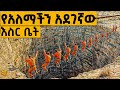 ባህሪያቸው እጅግ አስቸጋሪ የሆኑ ህጻናት የሚታሰሩበት አደገኛ እስርቤት የፊልም ታሪክ ባጭሩ