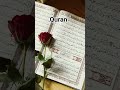 Quran Reaction in urdu translation #quran #quranrecitation #qurantranslation #allah #islamicshorts
