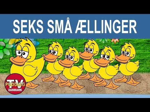 Video: Sådan Fodres Små ællinger