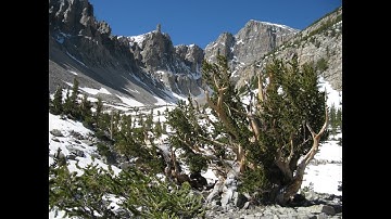 Sedimentary Rocks, Part 3