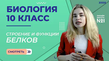Урок 6. Строение и функции белков. Биология 10 класс