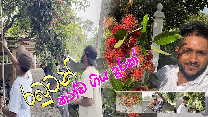 DDS (දනා අයියා ) රවීශ සුමනේ එක්ක චිපාලගේ ගෙදර රඹුටන් කන්න ගිය ගමන