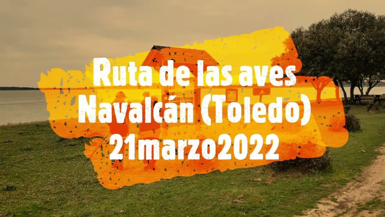 Ruta de las aves Navalcán Toledo 19marz2022