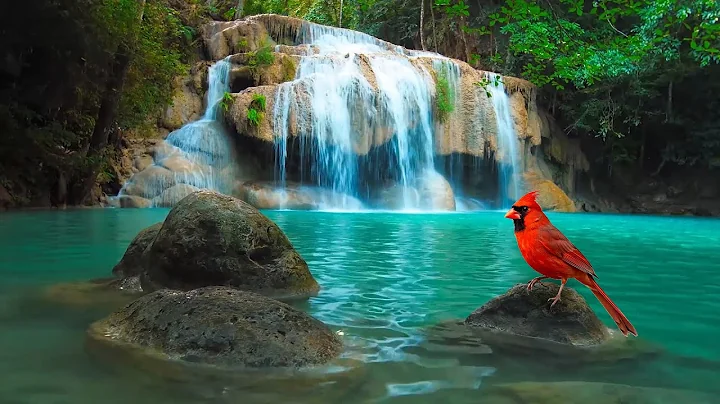 The Best SLEEP Music | 432hz - Healing Frequency | Deeply Relaxing | Raise Positive Vibrations