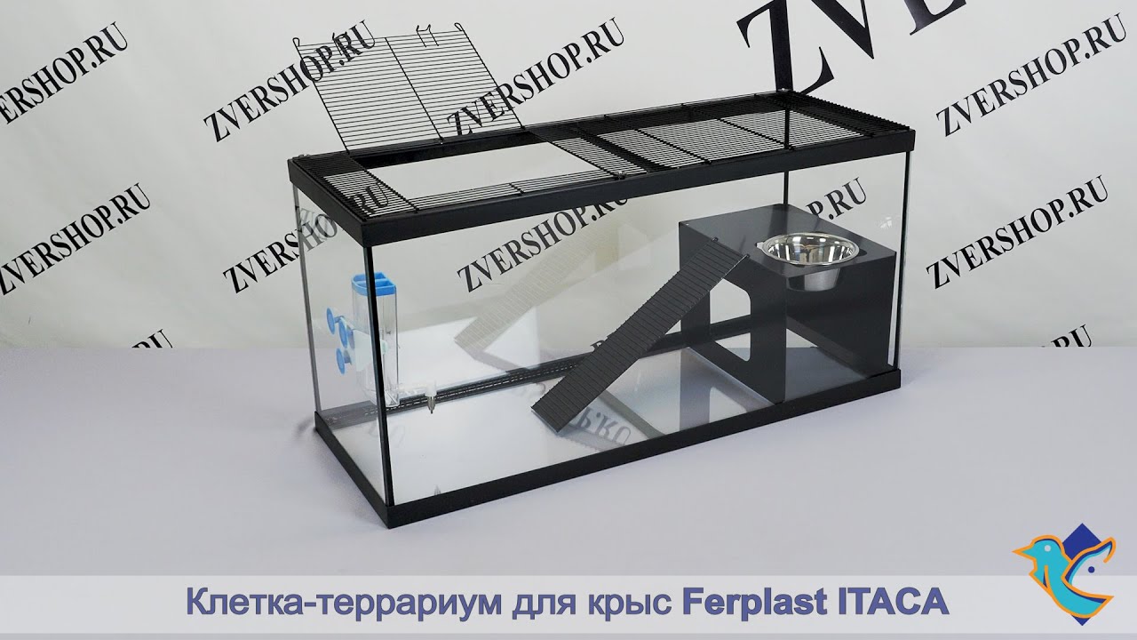 Клетка-террариум Ferplast для крыс Itaca - YouTube