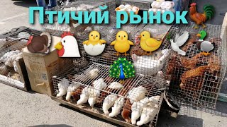 Птичий рынок//Цыплята,гусята,утята,индюшата и не только/Самый большой рынок с.Кучурганы Одесская обл