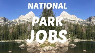 WHY YOU SHOULD WORK IN A NATIONAL PARK