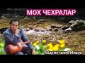 МОХ ЧЕХРАЛАР Дадахон Хасанов МОХ ЧЕХРАЛАР Дадахон Хасанов