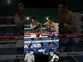 Undisputed Joe Louis Beautiful KO Against Ali Spammer mp3