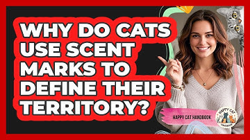Why Do Cats Use Scent Marks To Define Their Territory? - Happy Cat Handbook