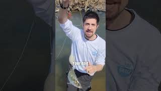 How Does The FATKAT Rig Work: The Catfish Drift Rig Setup Most Bank Anglers Have Never Tried!