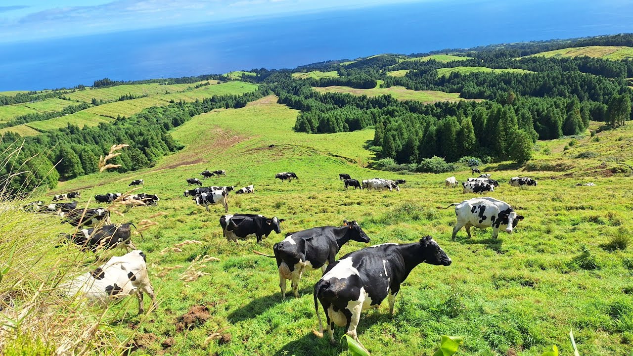 AZORES - SAO MIGUEL - SETE CIDADES HIKE 6/9