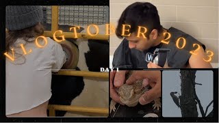 Vlogtober Day 1: Fistulated cow encounter, and I messed up his hair, but he's still hot