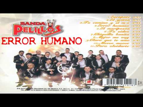 Banda Pelillos Error Humano