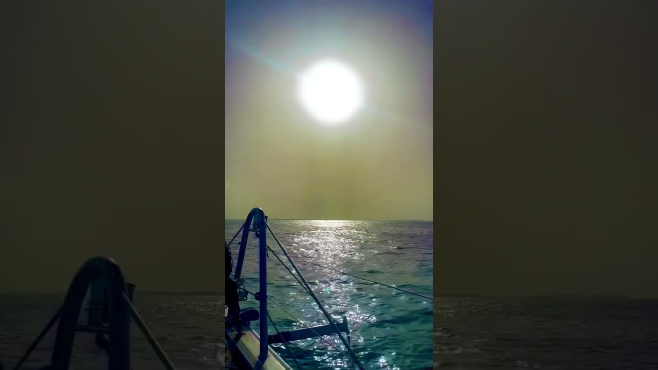 Might as well Jump - Sunset Cruise