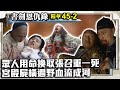 眾人用命換取張召重一死　宮殿屍橫遍野血流成河【書劍恩仇錄】EP45-2 趙文卓 陳昭榮 關詠荷 謝君豪 孫莉 @ctvdrama_classic