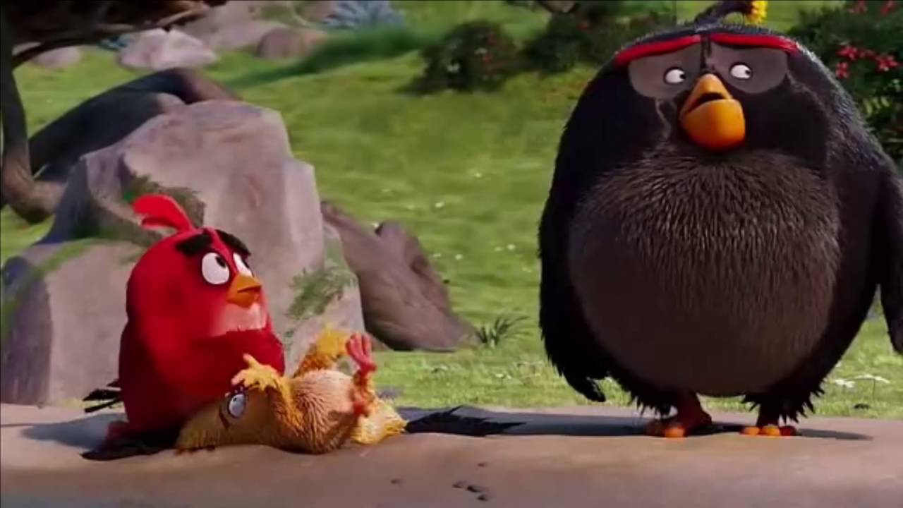 Red, Chuck Y Bomb Encuentran A Águila Poderosa - Angry Birds - Español  Latino. - YouTube