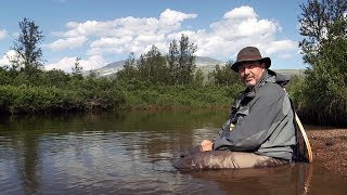 The Wrong Trout